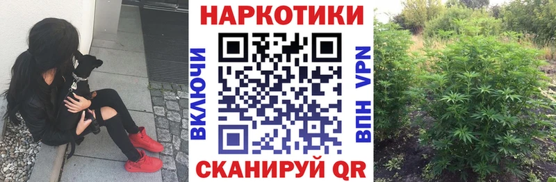 Купить наркоту Алушта Каннабис КОКАИН Alpha-PVP Гашиш