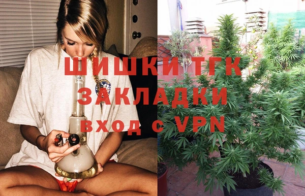 индика Абдулино