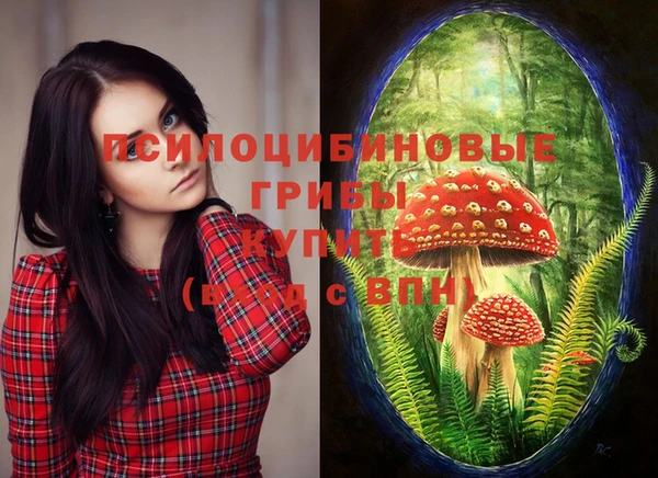 индика Абдулино