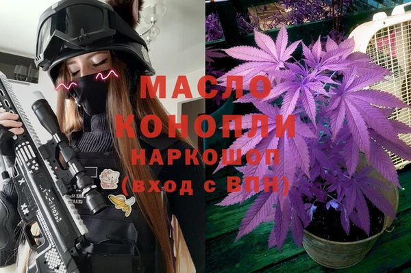индика Абдулино